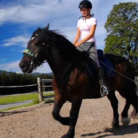 Apartment Deluxe Donna