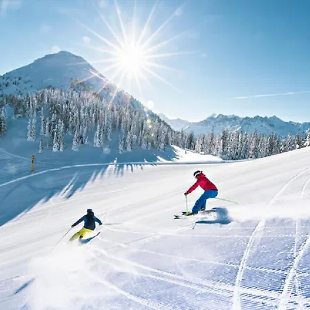 Deluxe Donna 슈라드밍